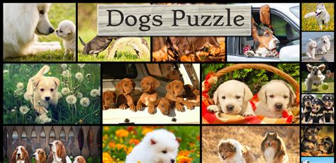 Dog Puzzles Jigsaw Puzzle Game For Kids With Real
