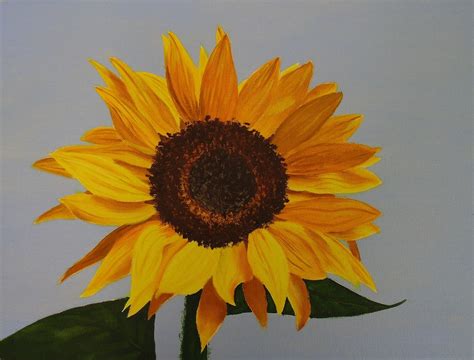 Easy Oil Painting For Beginners Flowers Oil Acrylic On Unstreched