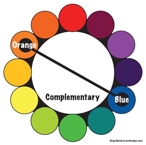 Complementary Gardens | Complementary color wheel, Complementary colors, Color wheel