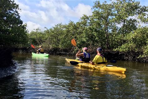 Kayak Eco Tours Marine Discovery Center