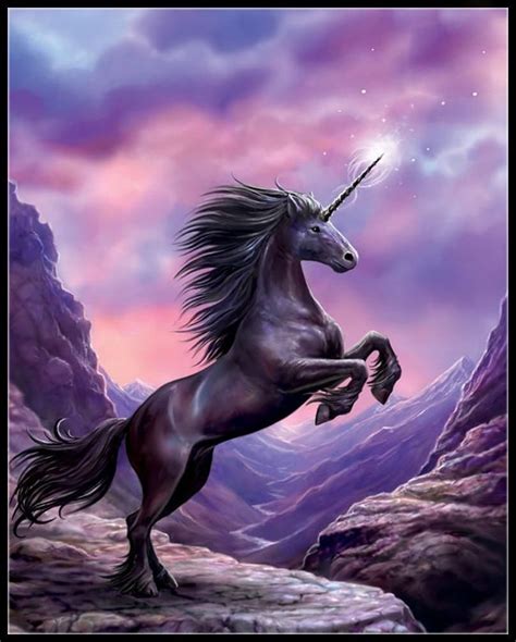 5d Diy Diamond Painting Black Unicorn On Purple Sky Square Drill 4