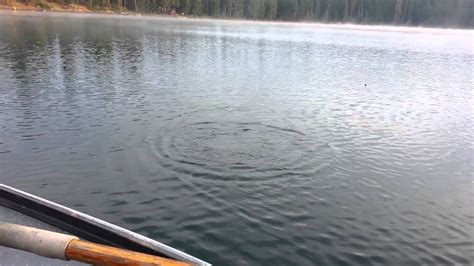 On the north side, the lake is nearly 160' deep and provides home to a large number of kokanee. South Twin Lake (Oregon) fishing - YouTube