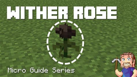 Wither Rose Minecraft Micro Guide Youtube
