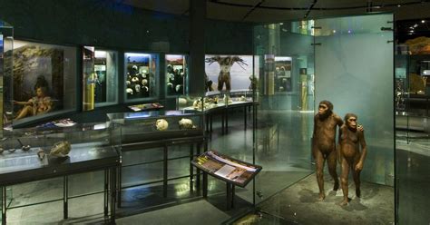 Hall Of Human Origins Six Million Years Of Evolution Amnh
