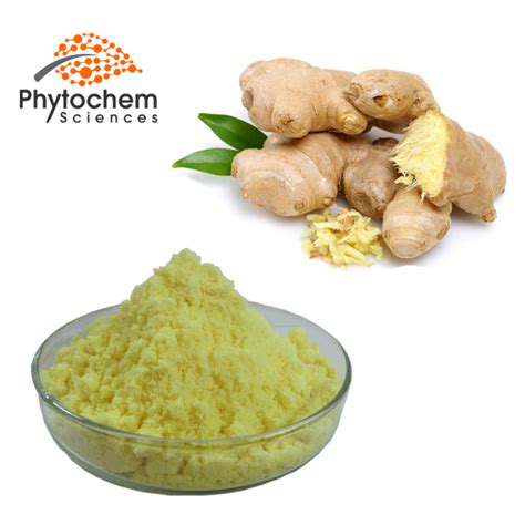 Ginger Extract Supplement Benefits For Anti Oxidant