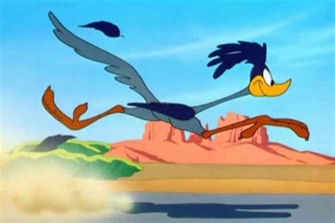Meep Meep The Surprising History Of How The Road Runner—and Other