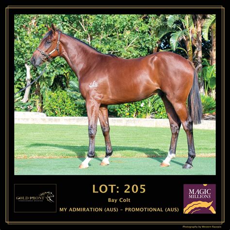 Yearlings For Sale Gold Front Thoroughbred Breeding