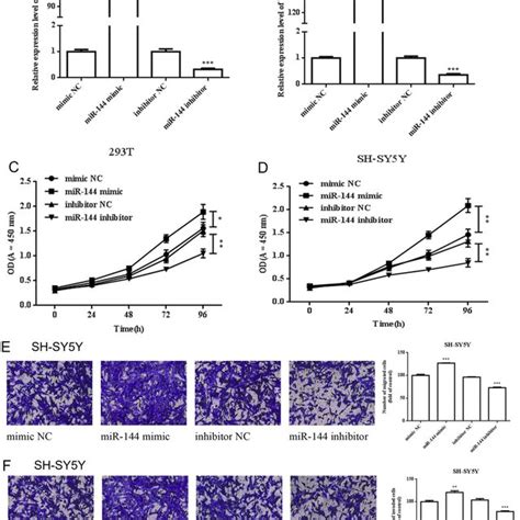 mir 144 promoted the cell proliferation migration and invasion a b download scientific