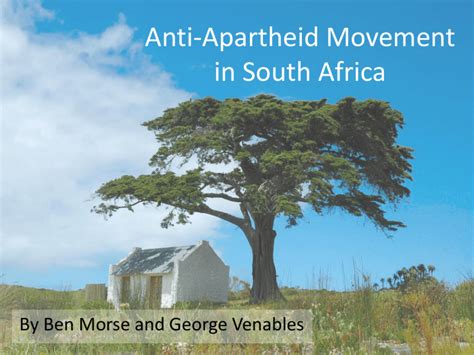 Anti Apartheid Movement In South Africa