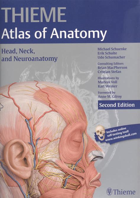 Head Neck And Neuroanatomy 2nd Edition