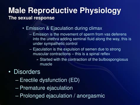 Ppt Reproductive Physiology Powerpoint Presentation Free Download Id631559