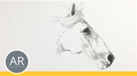 Aufgabe war es, die eigenschaften der gezeigten bauformen irgendwie zeichnerisch darzustellen. 33 Pferde Bilder Zum Abzeichnen - Besten Bilder von ...