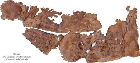 dozens of dead sea scroll fragments may have been discovered cbs news