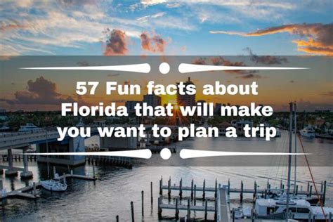57 Fun Facts About Florida That Will Make You Want To Plan A Trip