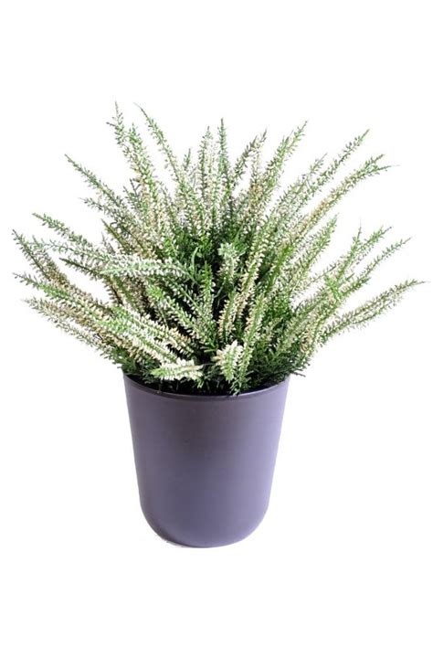 Artificial Heather Plant The Artificial Plants Shop