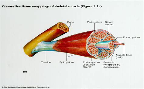 Class 9 science chapter wise explanation. 301 Moved Permanently