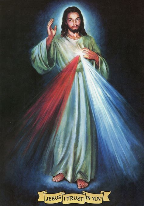 Divine Mercy Catholic Diocese Of Christchurch
