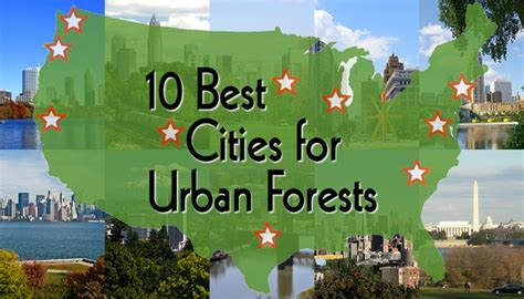 The Best Urban Forests American Forests