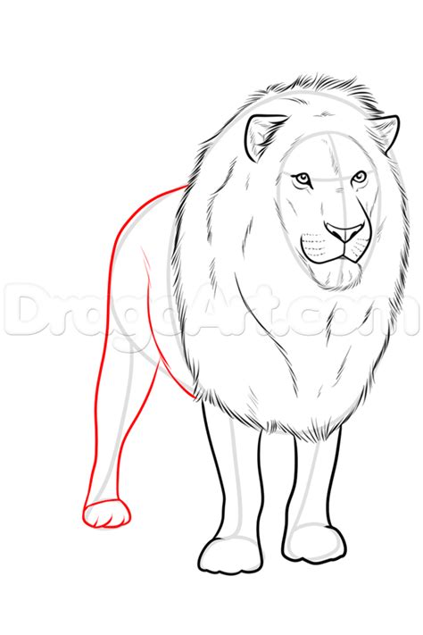 Drawing A Realistic Lion Step 9 Love Drawings Line Art Drawings Easy