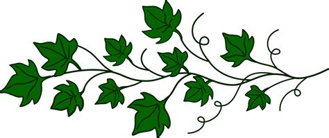 Clip Art Vine 20 Free Cliparts Download Images On Clipground 2023