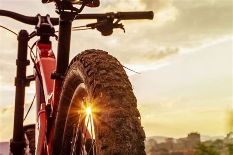 Best Fat Bikes Reviews 2021 Ranks And Buying Guide All About Bike