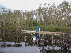 Paddle Through The Pristine Waters Of Space Coast Craigs A Kayaker S Dream