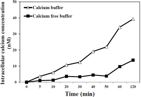 Intracellular Calcium Levels In Caco 2 Cells Exposed To Caal Ldh