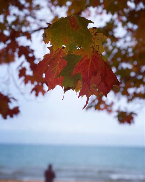 Fall At The Lake Lake Huron In Michigan Routdoors