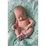 Pin By Julie Bridges On Babies  Newborn Hospital Photography