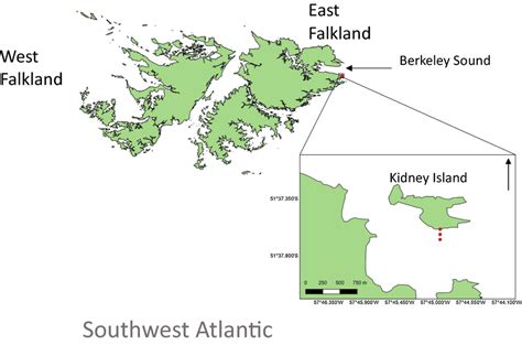 Map Of The Falkland Islands With Detail Of Kidney Island And The