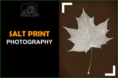 Pickled Light Salt Print Photography