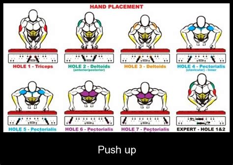 Hand Placement For Push Up Bodybuilding And Fitness Zone