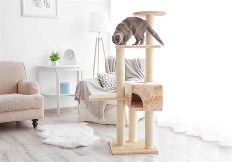 Indoor Cat Tree And Furniture Ideas For Cat Lovers