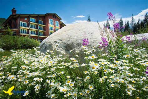 Flower delivery is available throughout salt lake city and the world through our online store. Pin on Salt Lake City Utah