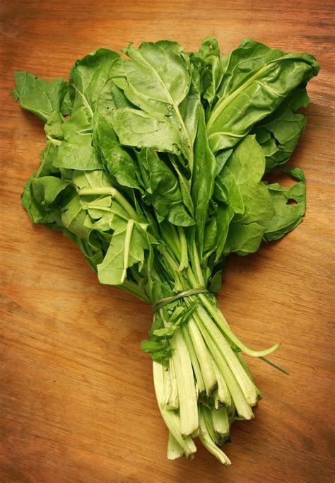 If you wish, you can use this list and place them in alphabetical order. Alphabetical List of Vegetables - Nutrineat