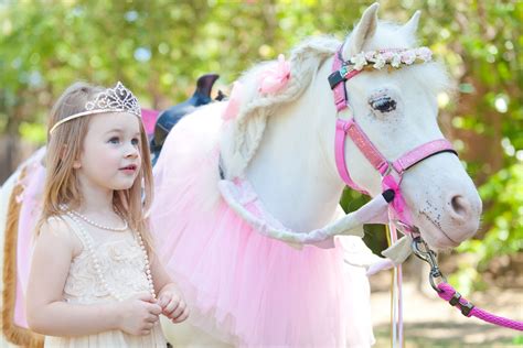 Lmaohe Needs To Hire Princess Pony Princess Party Pony Party