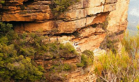 Blue Mountains National Park National Pass Nsw Holidays