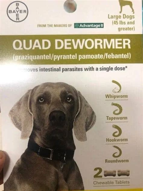 Best Dog Dewormer Your Dog Advisor