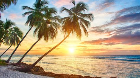 60 Tropical Hawaiian Sunset Wallpapers Download At Wallpaperbro