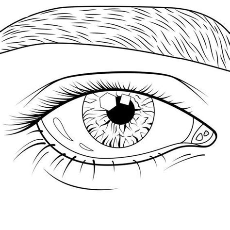 Realistic Eye Coloring Pages Jaclyn Wren