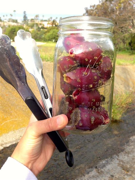 Can i buy one gallon and only activate a smaller portion (say 1. Cactus Fruit "Tuna" drink...juice...cocktail...agua ...