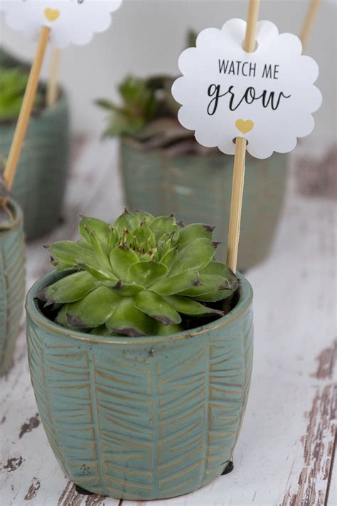 Then print my adorable deer gift tags free printable, add some fun embroidery floss then stick on the packages. Watch Me Grow Gift Tags Free Printable | Free printable ...