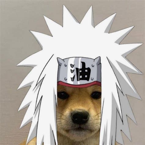 Fotos EngraçAdas De Anime Para Perfil beruhigungsmittel hund