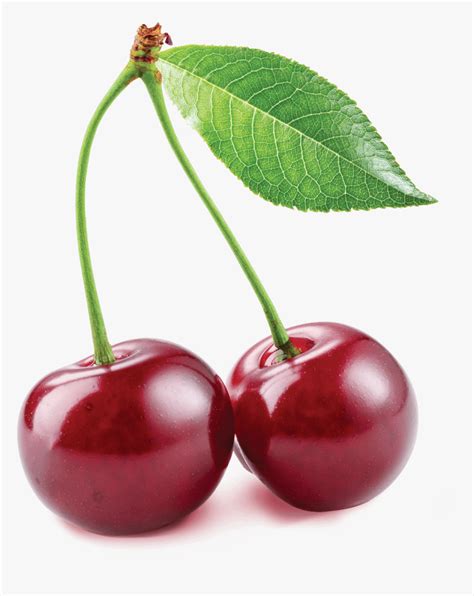 Cherry Png Clipart Cherry Fruit Images Hd Transparent Png