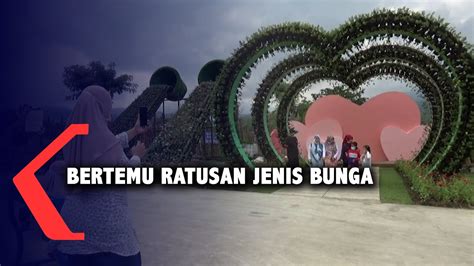 Wisata Bunga Di Batu Love Garden Youtube