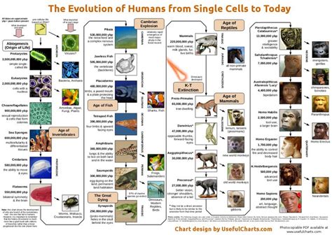Theory Of Evolution Theory Of Evolution History Timeline
