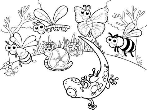 Provide kids these 50 free printable butterfly coloring pages. Gecko and Insects Bee Butterfly Dragonfly and Snail ...