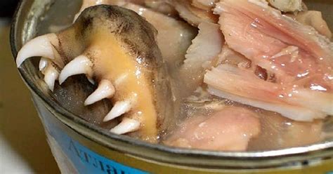 World S Most Bizarre Canned Foods
