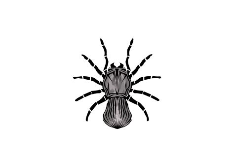 Insect Illustration Trapdoor Spider Graphic By Rfg · Creative Fabrica