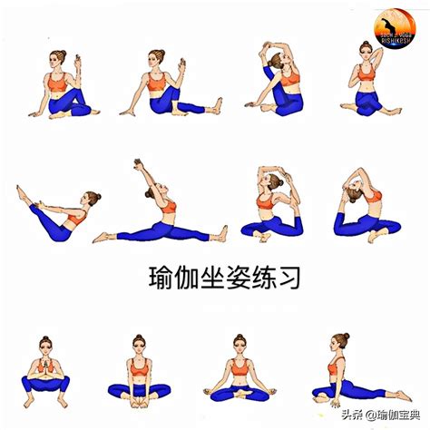 五个瑜伽姿势分类合集 帮助设置瑜伽日常练习序列 包含站坐平衡 搜狐大视野 搜狐新闻